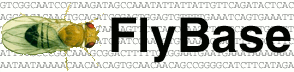 flybase.gif